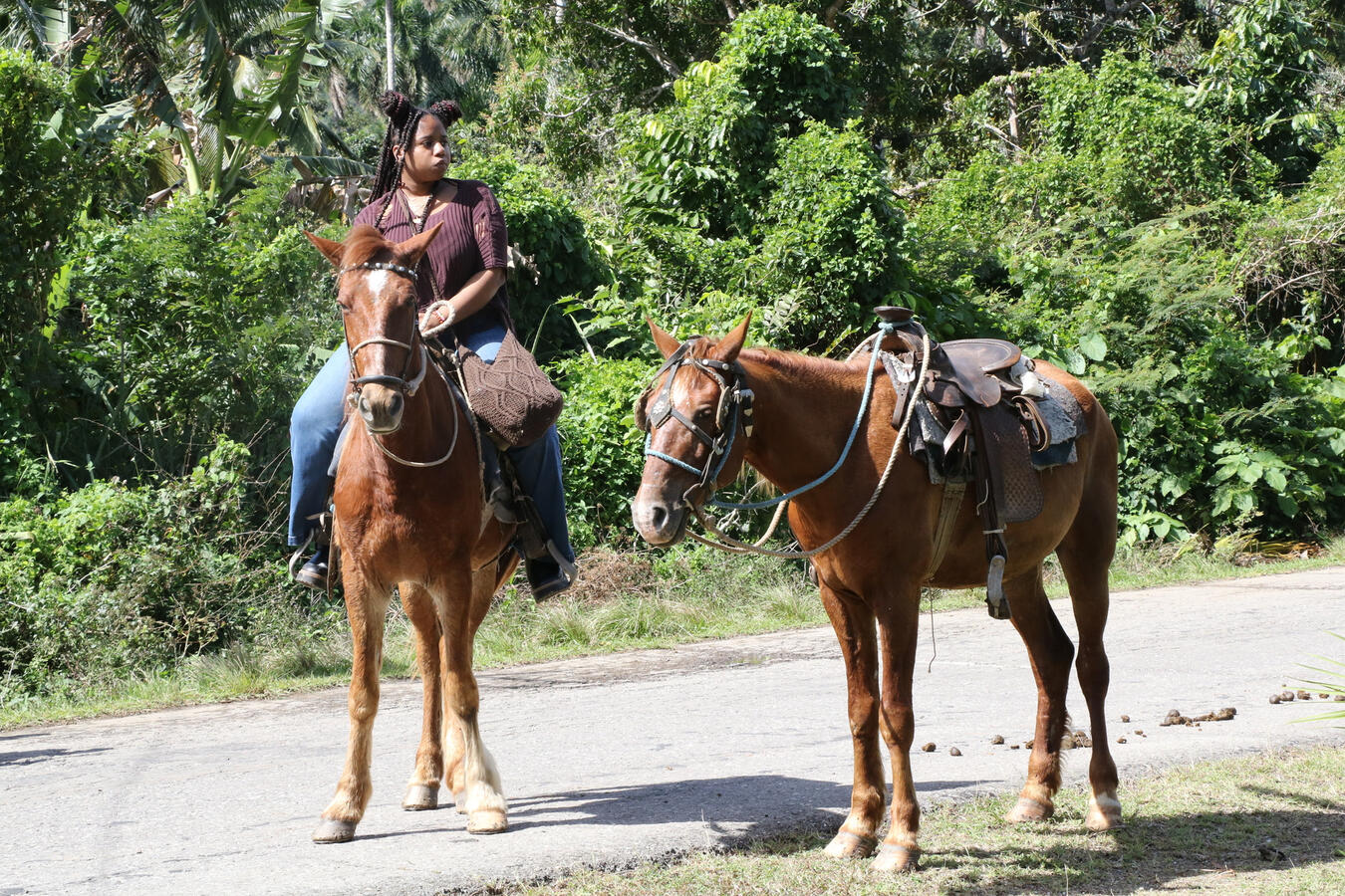 Horseback Riding in Rural Cuba Two people ride a horse along a rural road lined with greenery in Cuba.